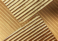 女性ののためのSkirt Golden 290GSM 93%ポリエステル プリーツの金のビロードの家具製造販売業生地